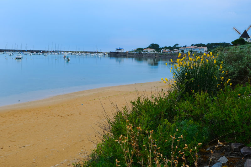 Jard-sur-Mer City Views