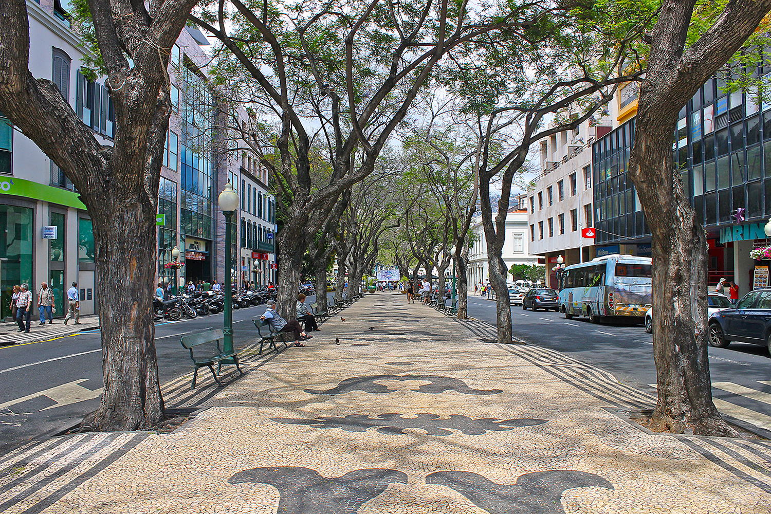 Arriaga Avenue