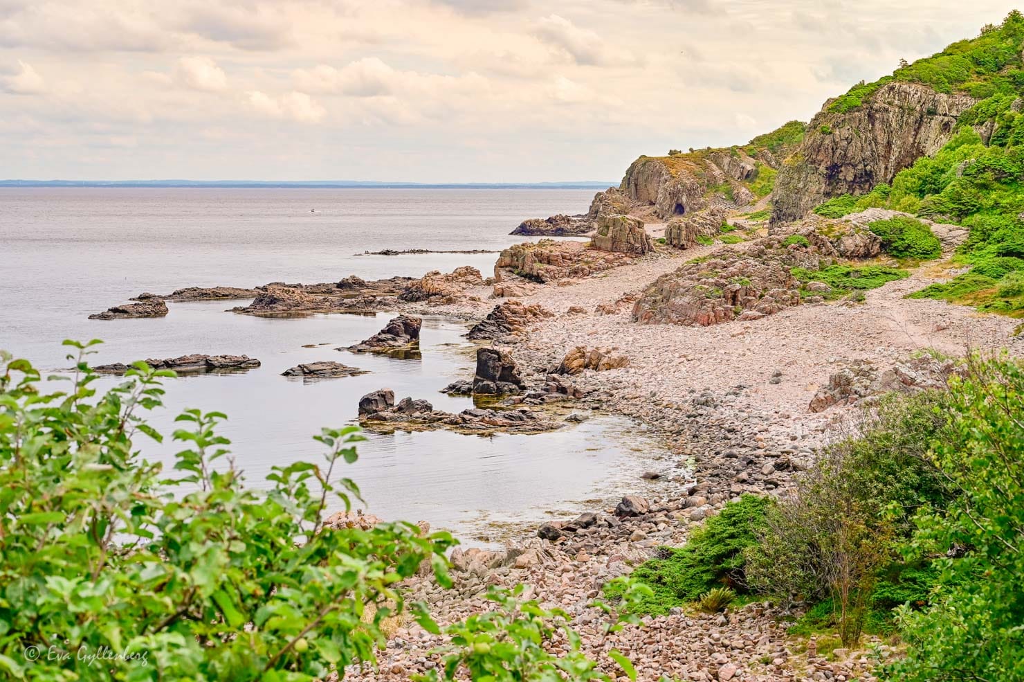 Hovs Hallar Nature Reserve