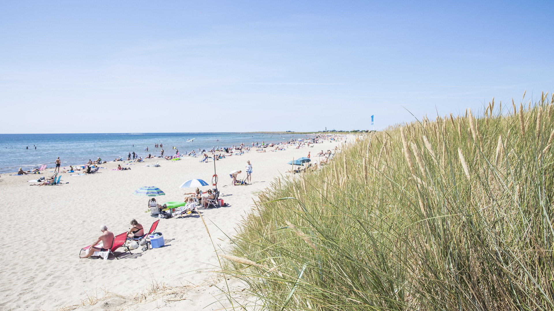 Olofsbo Beach