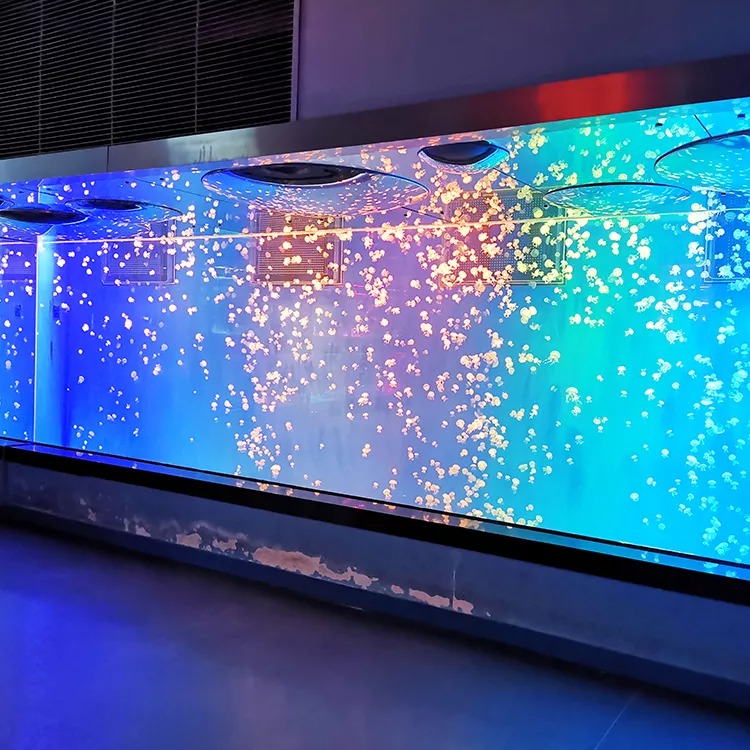 Jellyfish Aquarium