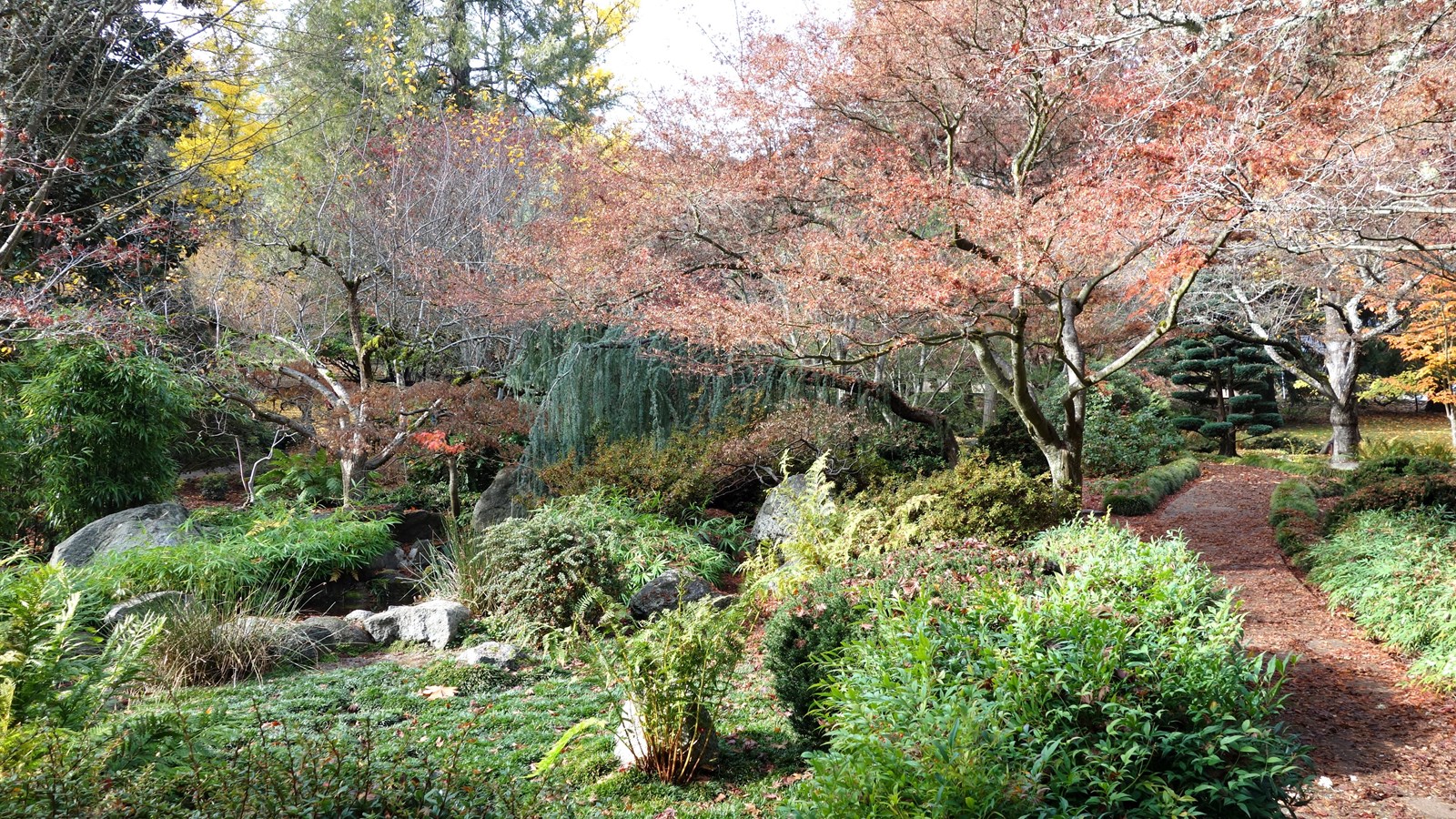 Lithia Park
