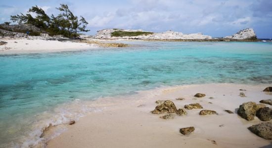Pelican Beach